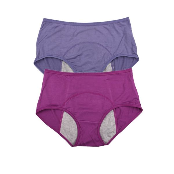 YOYI FASHION Bamboo Viscose Period Briefs, 2 Pack, Purple Blue