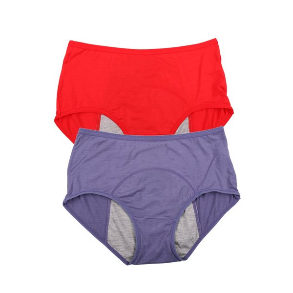 YOYI FASHION Bamboo Viscose Period Briefs, 2 Pack, Red Denim Blue
